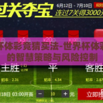 世界杯体彩竞猜买法-世界杯体彩竞猜的智慧策略与风险控制