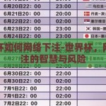 世界杯如何网络下注-世界杯，网络下注的智慧与风险