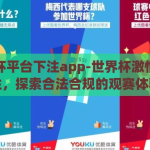 世界杯平台下注app-世界杯激情与理性，探索合法合规的观赛体验