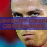 巴西世界杯盘口赔率-巴西世界杯，盘口赔率背后的足球盛宴