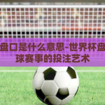 世界杯盘口是什么意思-世界杯盘口，足球赛事的投注艺术