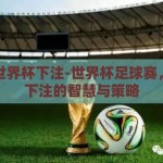 怎么世界杯下注-世界杯足球赛，理性下注的智慧与策略