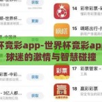 世界杯竞彩app-世界杯竞彩app，足球迷的激情与智慧碰撞