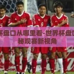 世界杯盘口从哪里看-世界杯盘口，揭秘观赛新视角