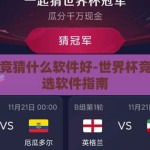 世界杯竞猜什么软件好-世界杯竞猜，优选软件指南
