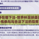 世界杯在哪下注-世界杯足球盛宴，理性参与与合法下注的指南