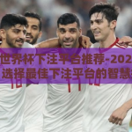2026世界杯下注平台推荐-2026世界杯，选择最佳下注平台的智慧指南