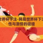 网易世界杯下注-网易世界杯下注，理性与激情的碰撞