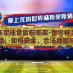 世界杯足球竞猜在哪买-世界杯足球竞猜，如何安全、合法地参与