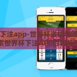 世界杯下注app-世界杯激情与理性，探索世界杯下注APP的利与弊