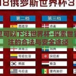 在哪里可以下注世界杯-探索世界杯下注的合法与安全途径