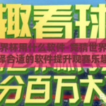 竞猜世界杯用什么软件-竞猜世界杯，选择合适的软件提升观赛乐趣