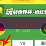 世界杯手机怎么下注-世界杯期间手机下注的智慧指南