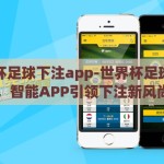 世界杯足球下注app-世界杯足球盛宴，智能APP引领下注新风尚