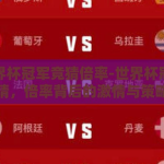 买世界杯冠军竞猜倍率-世界杯冠军竞猜，倍率背后的激情与策略