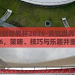 怎么竞猜世界杯2026-竞猜世界杯2026，策略、技巧与乐趣并重