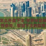 世界杯怎么开盘下注-世界杯足球赛，理性参与，智慧下注的指南