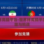 世界杯竞猜平台-世界杯竞猜平台的乐趣与挑战