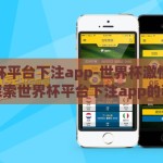世界杯平台下注app-世界杯激情与理性，探索世界杯平台下注app的利与弊