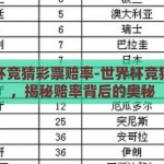 世界杯竞猜彩票赔率-世界杯竞猜彩票，揭秘赔率背后的奥秘