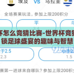 世界杯怎么竞猜比赛-世界杯竞猜，解锁足球盛宴的趣味与智慧