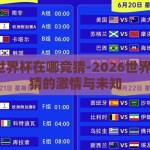 2026世界杯在哪竞猜-2026世界杯，竞猜的激情与未知