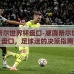 威廉希尔世界杯盘口-威廉希尔世界杯盘口，足球迷的决策指南