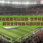 世界杯去哪里可以玩啊-世界杯狂欢指南，解锁全球观赛与游玩新体验
