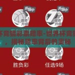 世界杯竞猜彩票赔率-世界杯竞猜彩票，揭秘赔率背后的奥秘