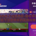 怎么用手机下注世界杯-轻松掌握，手机下注世界杯的实用指南