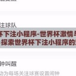 世界杯下注小程序-世界杯激情与智慧碰撞，探索世界杯下注小程序的魅力与风险