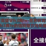世界杯竞猜宇fc3典tv-世界杯竞猜，宇fc3典tv的独特魅力与乐趣