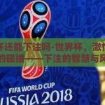 世界杯还能下注吗-世界杯，激情与理性的碰撞——下注的智慧与风险