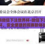 怎么用微信下注世界杯-微信下注世界杯，安全便捷的观赛新体验