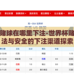 世界杯赌球在哪里下注-世界杯赌球，合法与安全的下注渠道探索