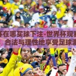 世界杯在哪买球下注-世界杯观赛新体验，合法与理性地享受足球激情