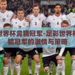 足彩世界杯竞猜冠军-足彩世界杯，竞猜冠军的激情与策略