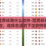 下注世界杯用什么软件-世界杯观赛新体验，选择合适的下注软件指南