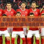 世界杯 竞猜平台下载-世界杯狂欢，竞猜平台的乐趣与选择指南