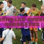 竞猜世界杯怎么购买-竞猜世界杯，如何明智地购买竞猜票