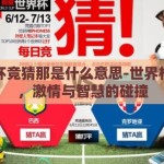 世界杯竞猜那是什么意思-世界杯竞猜，激情与智慧的碰撞