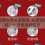 彩票竞猜世界杯后取消-彩票竞猜世界杯，一场未竟的狂欢