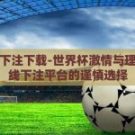世界杯下注下载-世界杯激情与理性，在线下注平台的谨慎选择