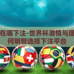 世界杯在哪下注-世界杯激情与理性，如何明智选择下注平台