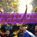 世界杯冠军竞猜 彩票-世界杯冠军竞猜，足球激情与彩票乐趣的碰撞