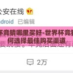 世界杯竞猜哪里买好-世界杯竞猜，如何选择最佳购买渠道