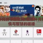 世界杯竞猜平台官网-世界杯竞猜，激情与智慧的碰撞