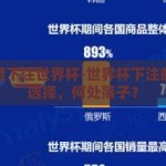 在哪里下注世界杯-世界杯下注的智慧选择，何处落子？