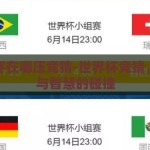 世界杯在哪压竞猜-世界杯竞猜，激情与智慧的碰撞