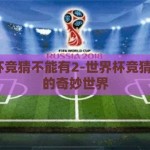 世界杯竞猜不能有2-世界杯竞猜，无2的奇妙世界